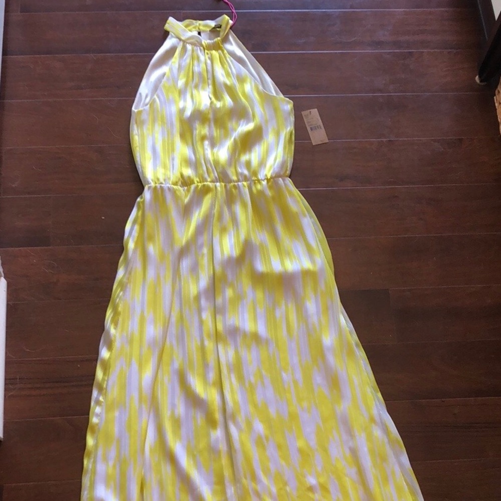 Cremieux Long Dress